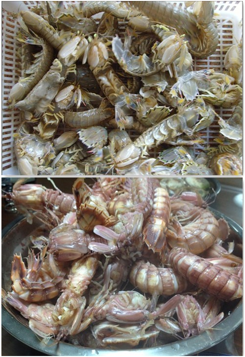 这是第7张海鲜礼盒 年前热卖的货源图片