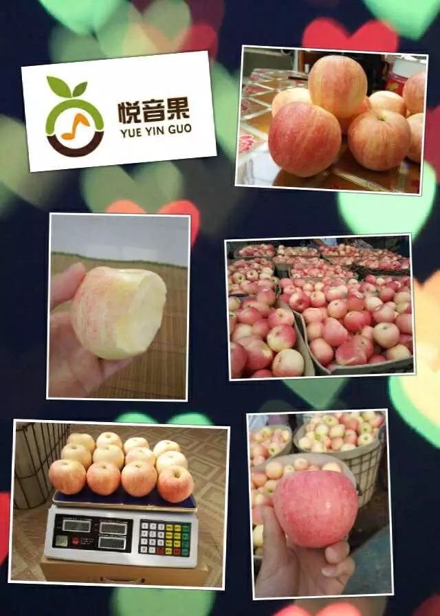 这是第1张正宗烟台苹果原产地 支持一件代发 全国包邮的货源图片