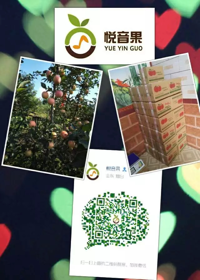 这是第3张正宗烟台苹果原产地 支持一件代发 全国包邮的货源图片