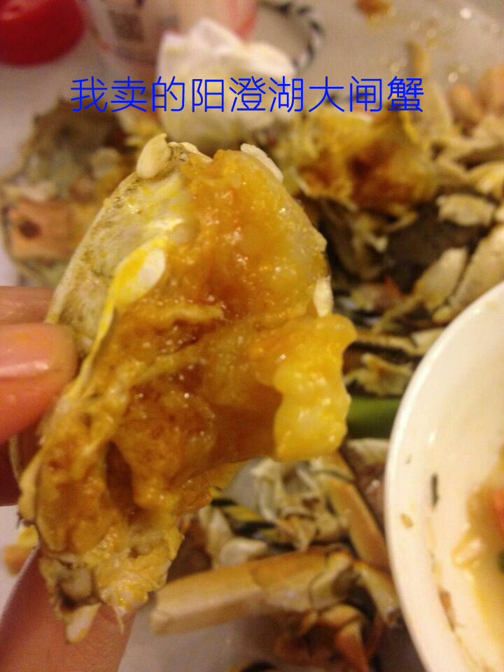 这是第6张阳澄湖大闸蟹招商加盟，招各类网店微商代理的货源图片