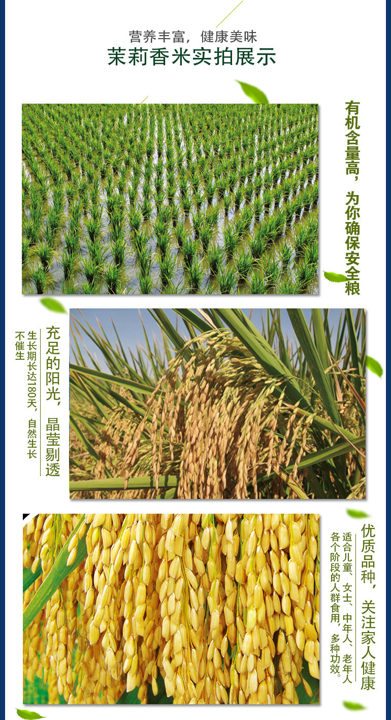 这是第9张柬埔寨【进口】‘沃香情’茉莉香米一件代发的货源图片