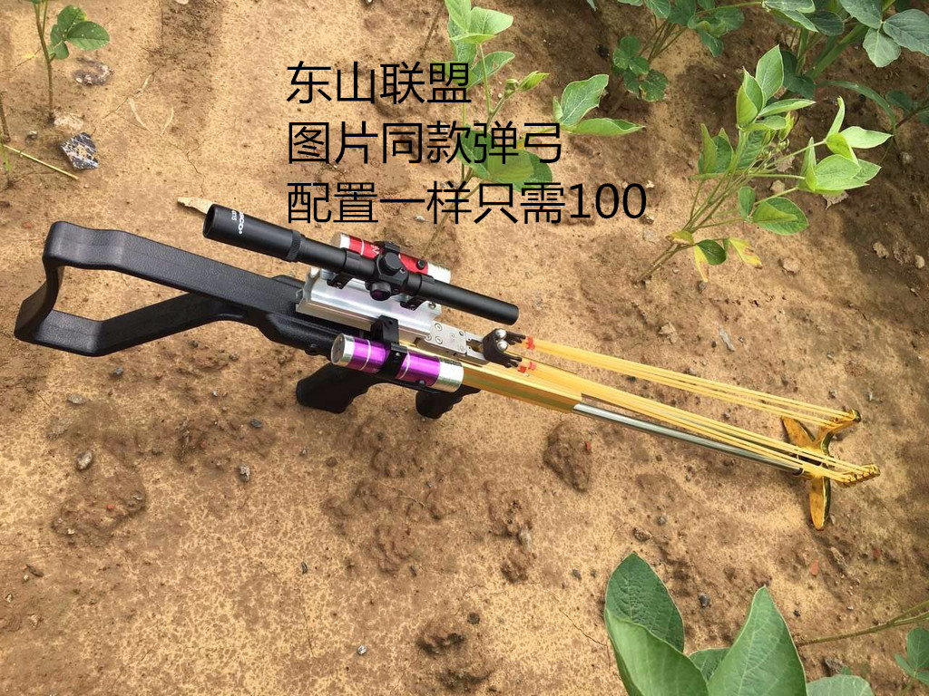 这是第5张东山联盟一手厂家货源，欢迎大咖前来合作！的货源图片
