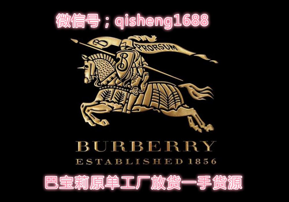 巴宝莉奢侈包包厂家直销广州厂家工厂直销货源的封面大图