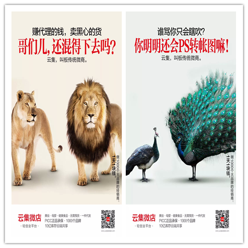 这是第8张微商爆款项目微商代理新手项目的货源图片