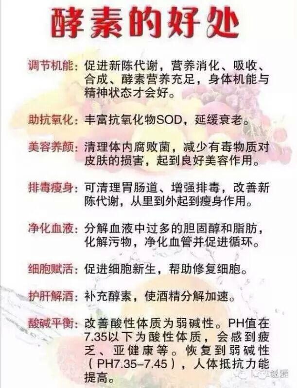 这是第5张纤修堂益生菌酵果蔬素粉的货源图片