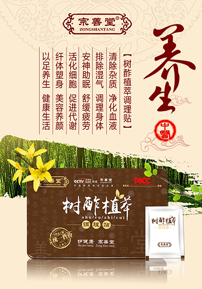 这是第2张宗善堂如何做代理足贴赚钱么？的货源图片