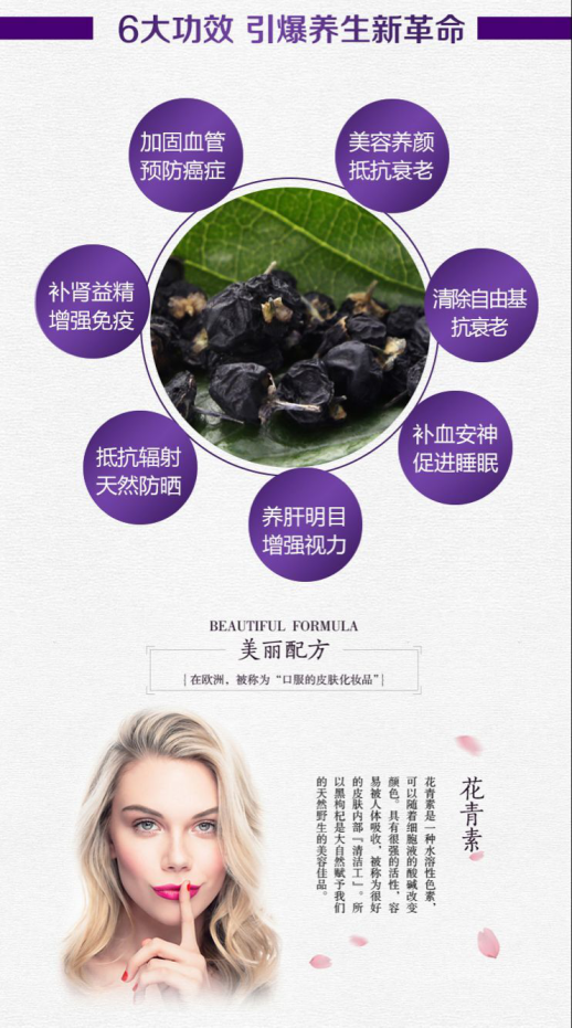 这是第4张黑枸杞美容养颜抗衰老的货源图片