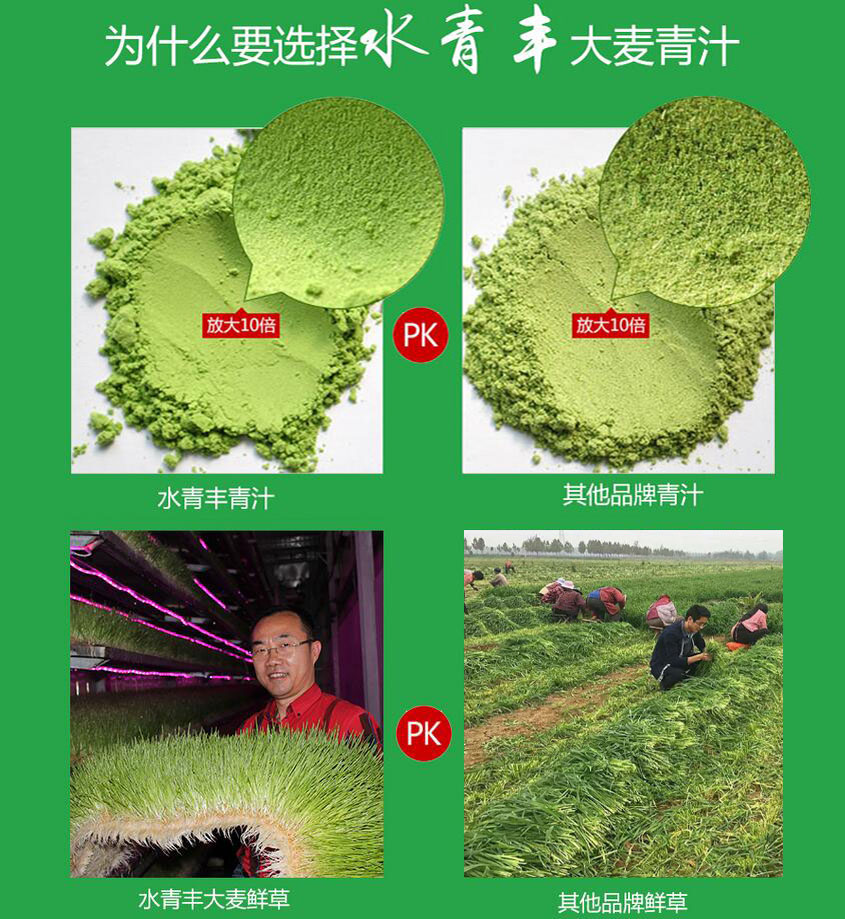 这是第3张大麦若叶青汁怎么做？大麦若叶青汁赚钱么？的货源图片